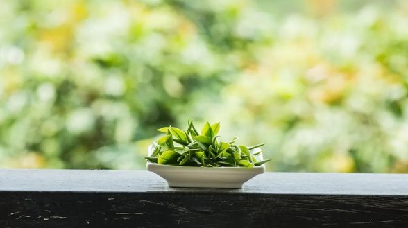 茶葉是怎么分類的？一圖讀懂現(xiàn)代茶葉分類方法圖解